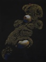 Mirza Zeeshan - Toy Story.jpg