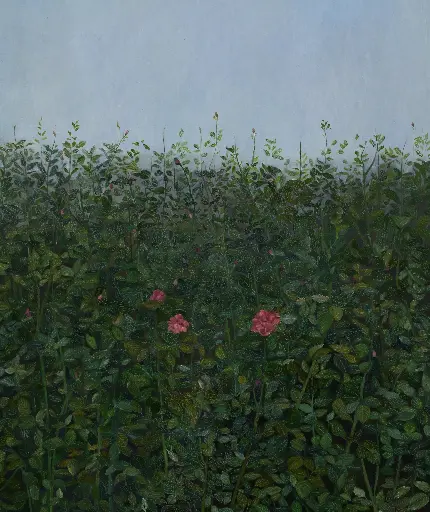 How long the spring will stay